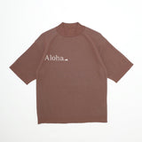 Wisdom Knit in Brown