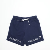 Navigation Shorts in Navy